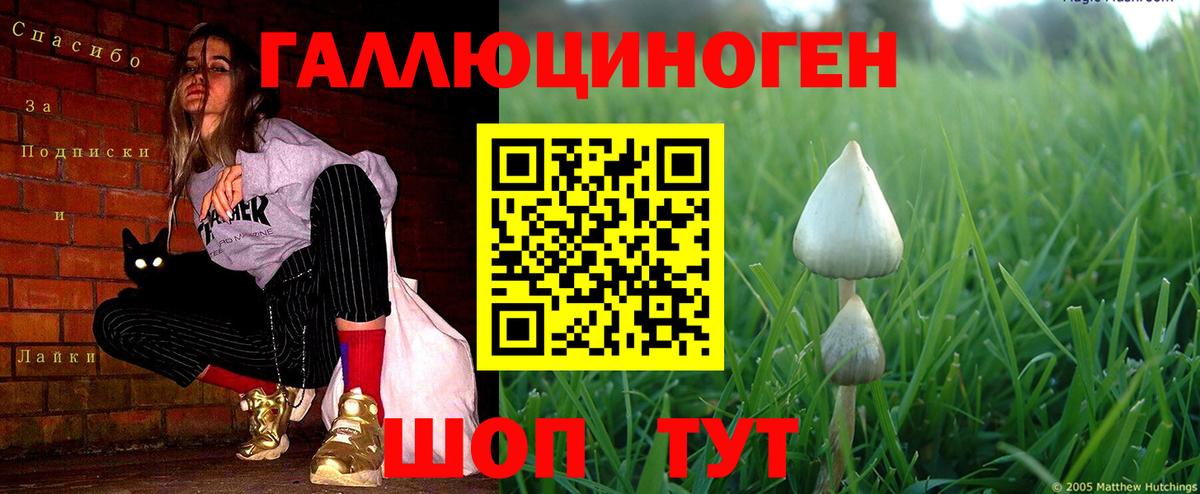 продажа наркотиков  Галлюциногенные грибы Psilocybe  Псилоцибиновые грибы Magic Shrooms  Вход с VPN  Назрань 